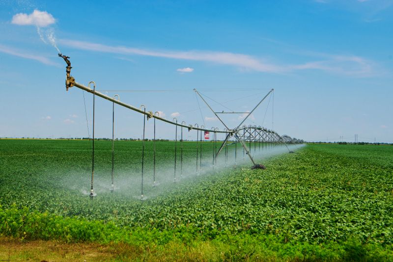 Irrigation System Replacement in Honolulu, HI