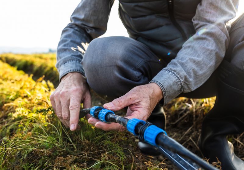 Lawn Irrigation System Installation And Repair
